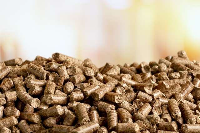 Wood pellet